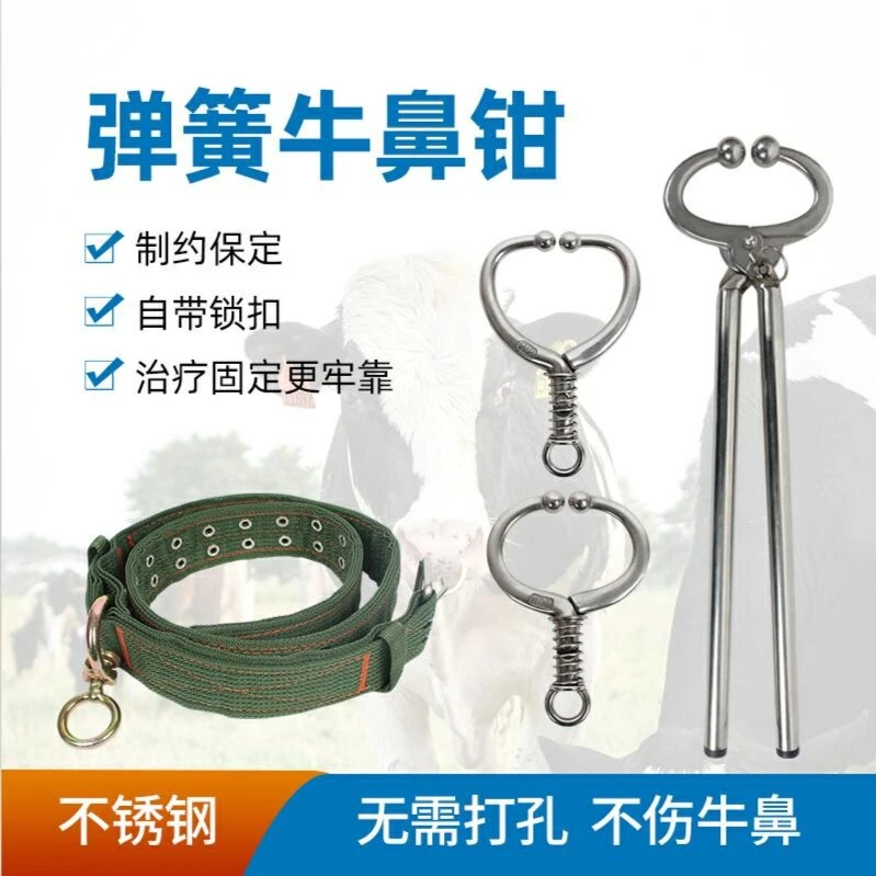 创普牛保定器械 牛鼻环  牛鼻保定钳 优质不锈钢牛保定器结实耐用
