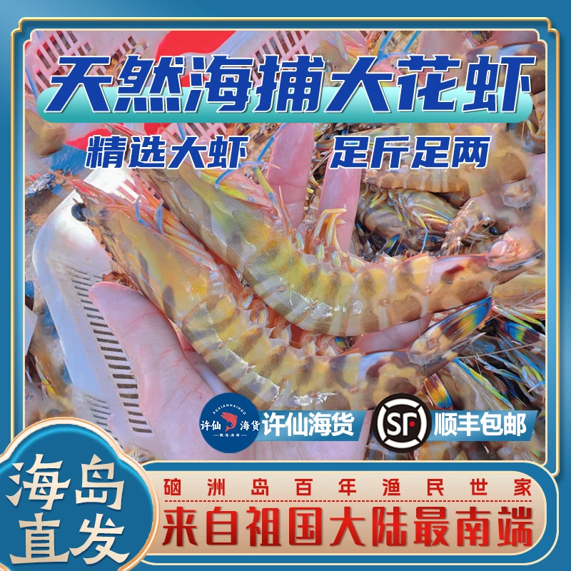 【海岛发货】精选大花虾新鲜特级湛江海鲜大只大花虾黑虎虾包邮