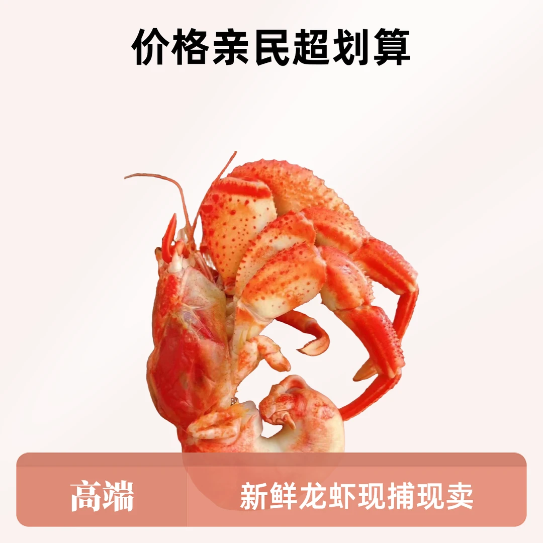 【大号】大连海捕虾怪 3斤装  带壳发货【保鲜不保活】原产地直发