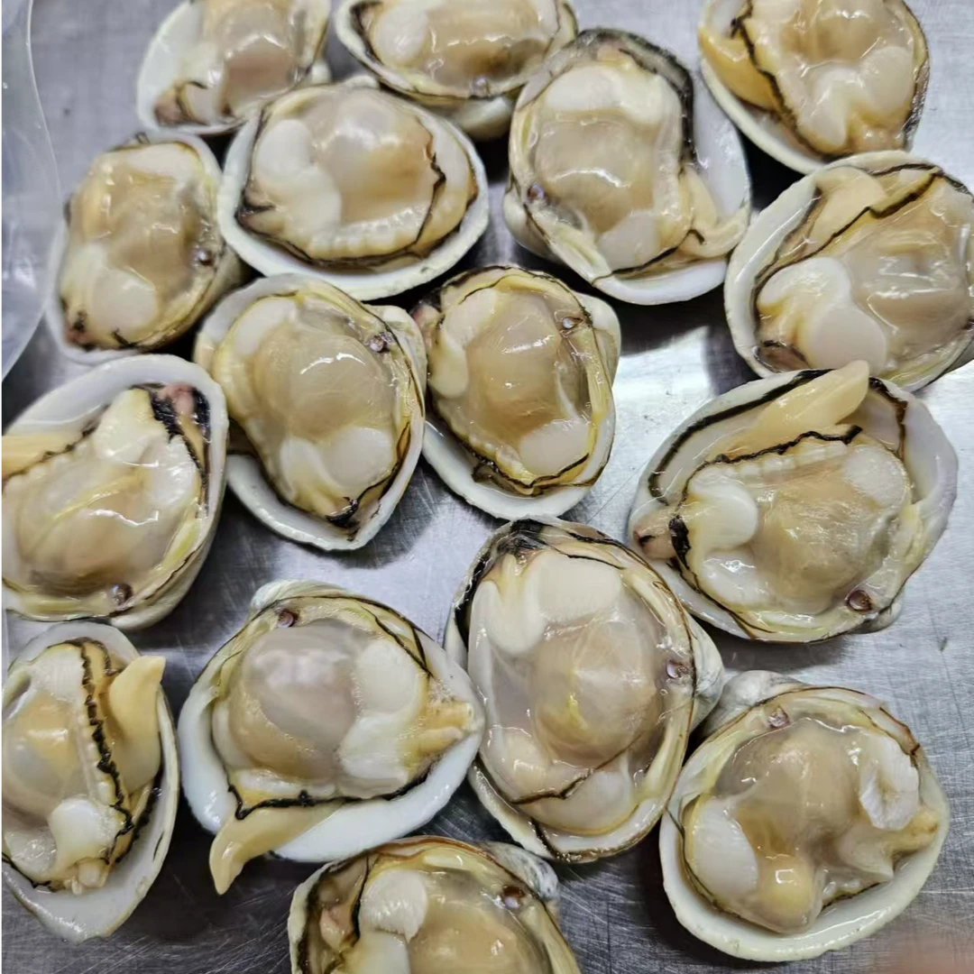 丹东冷冻真空白蚬子 400g/*4包 鲜甜美味【-18度冷冻保存】