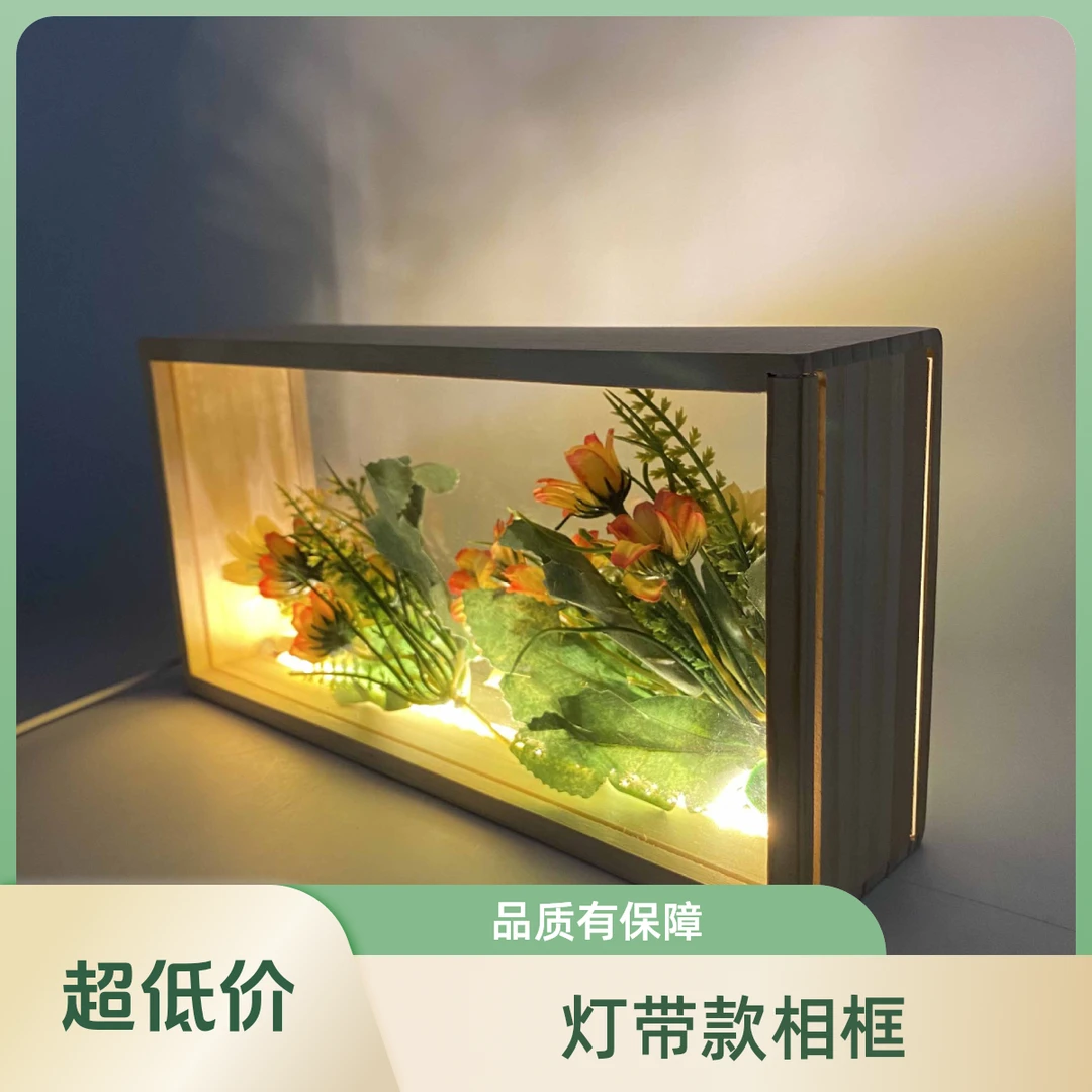 灯带款木制中空亚克力干花摆台diy标本相框双面透明立体摆件