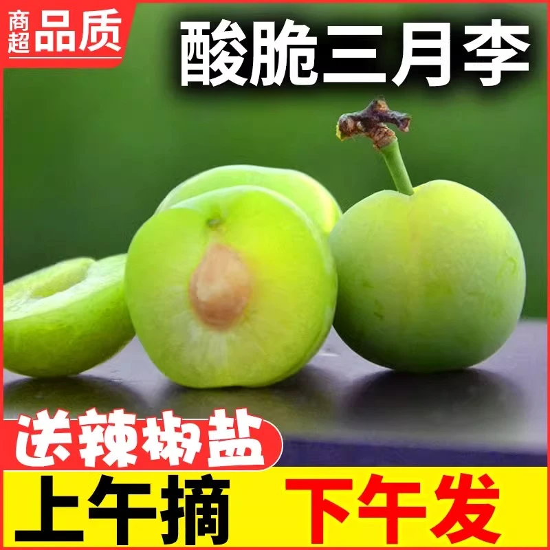 2【下单现摘】新鲜三月李子现摘酸脆李孕妇水果当季青李早熟三华李