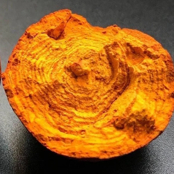 云南边境特产 -干-牛-黄---1g 起(包邮）
