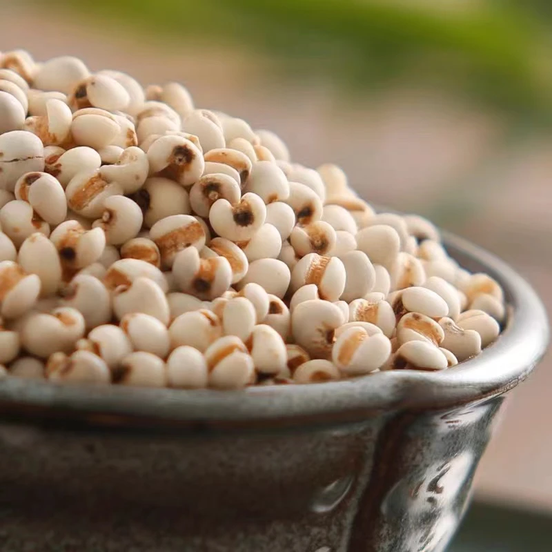 【肥妈汤料】薏米煲汤实用常用煲汤炖汤广东靓材料500g