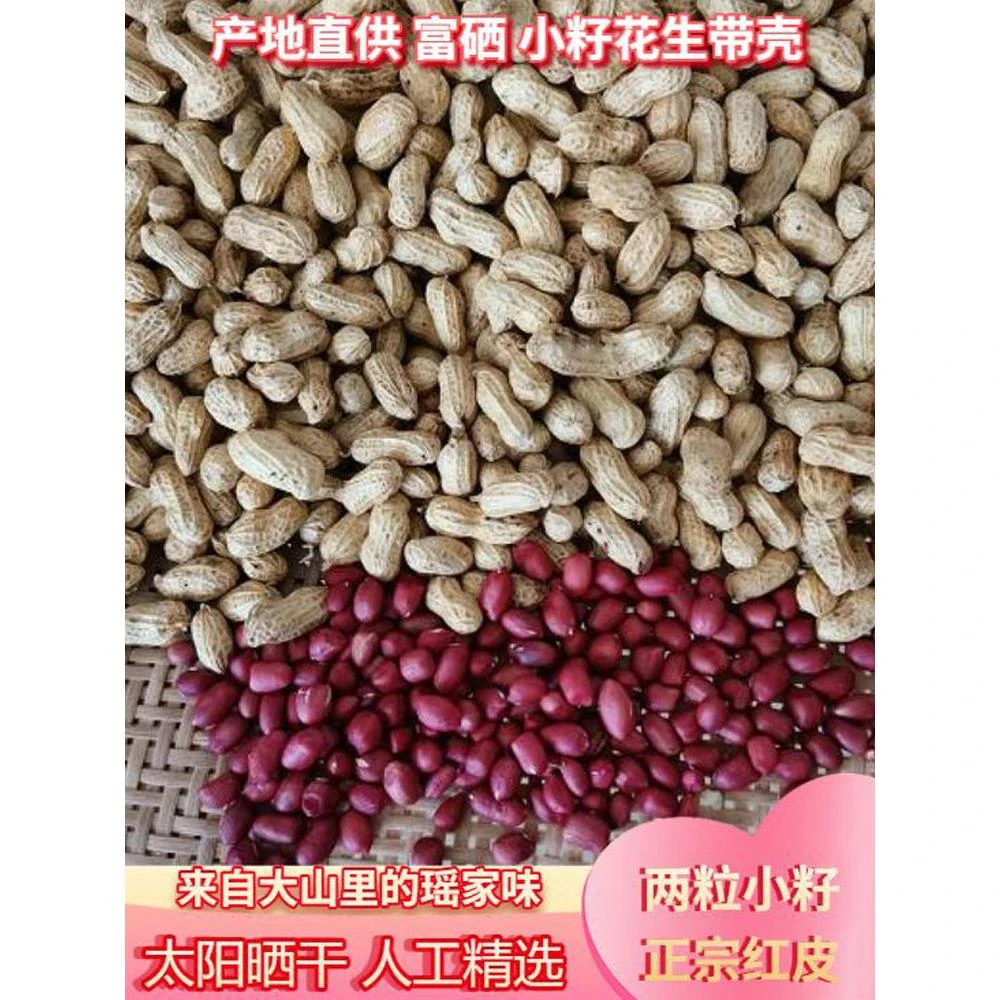 小籽红皮花生带壳生花生晒干红籽花生原味湖南松柏瑶乡自留老品种