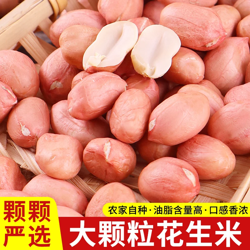 【好吃不贵】东北农家新鲜手剥红皮花生米颗粒饱满营养香脆油炸榨油