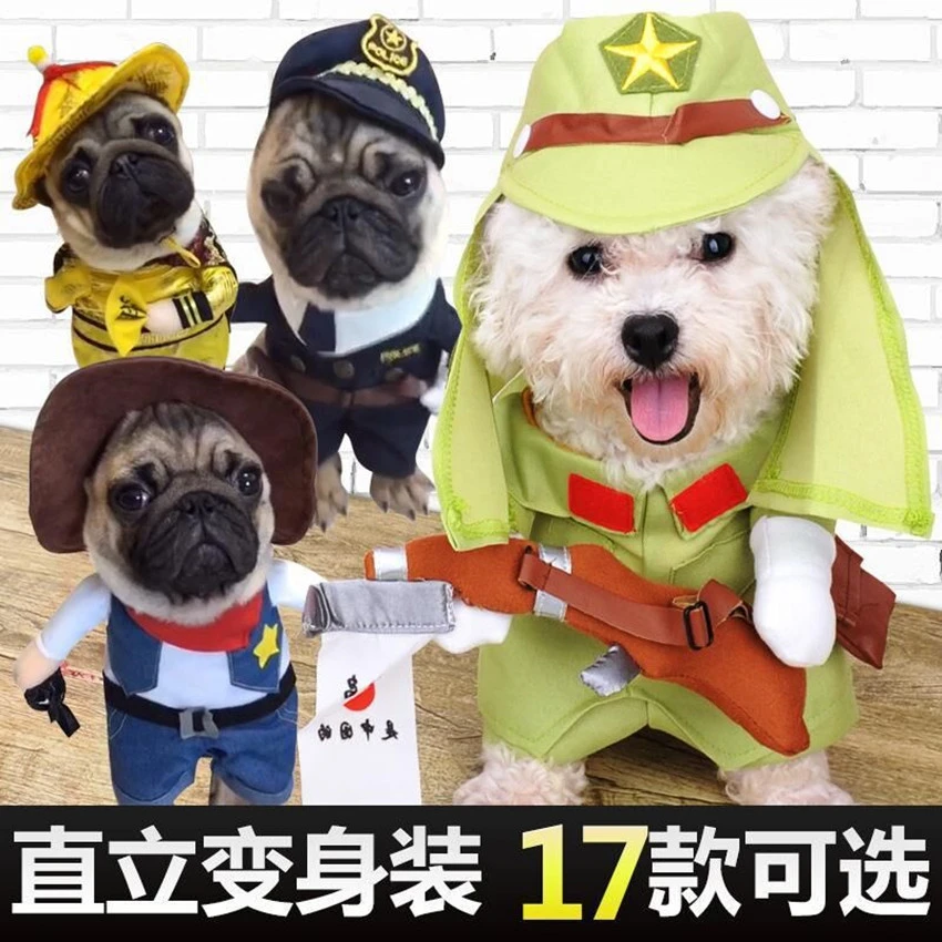 猫咪狗狗搞笑宠物直立变身装猫咪衣服狗狗搞怪猫英短可爱夏装薄款