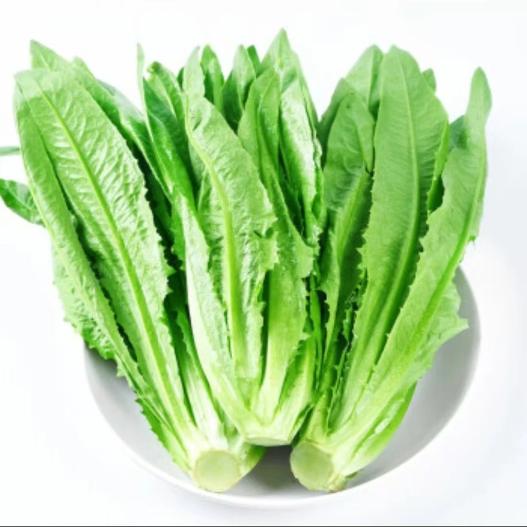 油麦菜500g