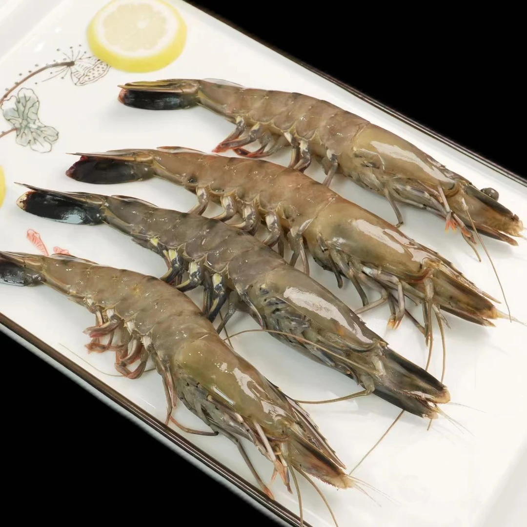 特特大号16-20 规格 深海黑虎虾  连云港发货