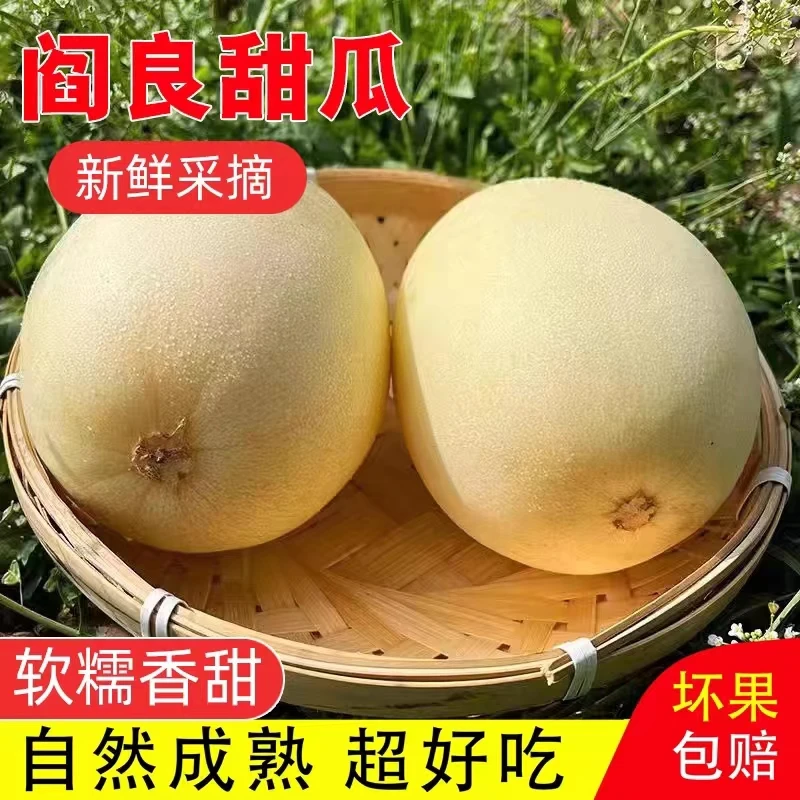 【头茬现货】陕西阎良甜瓜香甜多汁农家直发2/5/9斤精品新鲜甜蜜