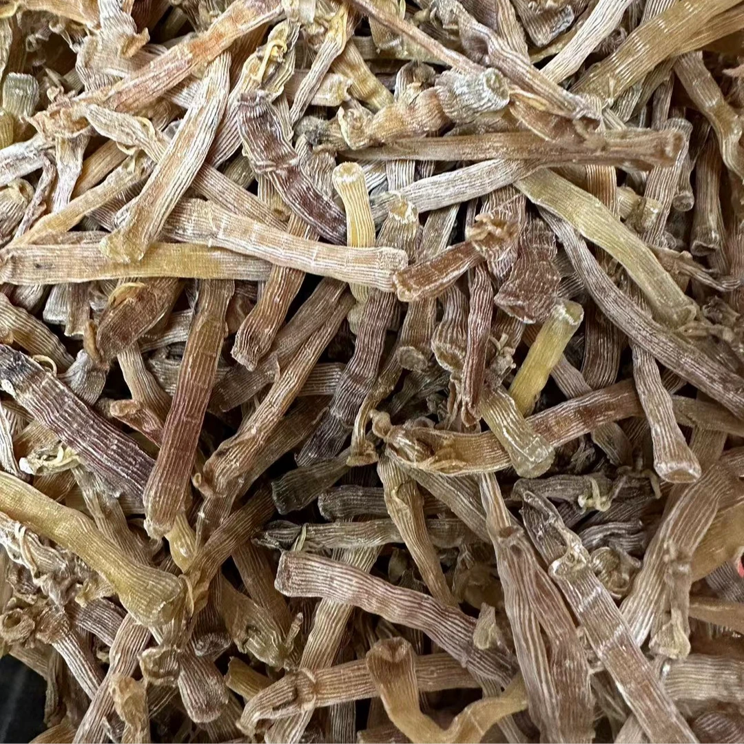 【徐剑锋推荐】沙虫干海味特产海鲜干货250g