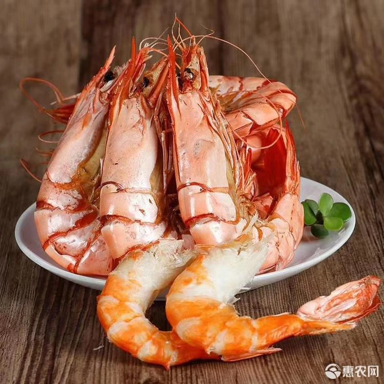 【徐剑锋推荐】广东淡干（16-25）对九节虾干500g