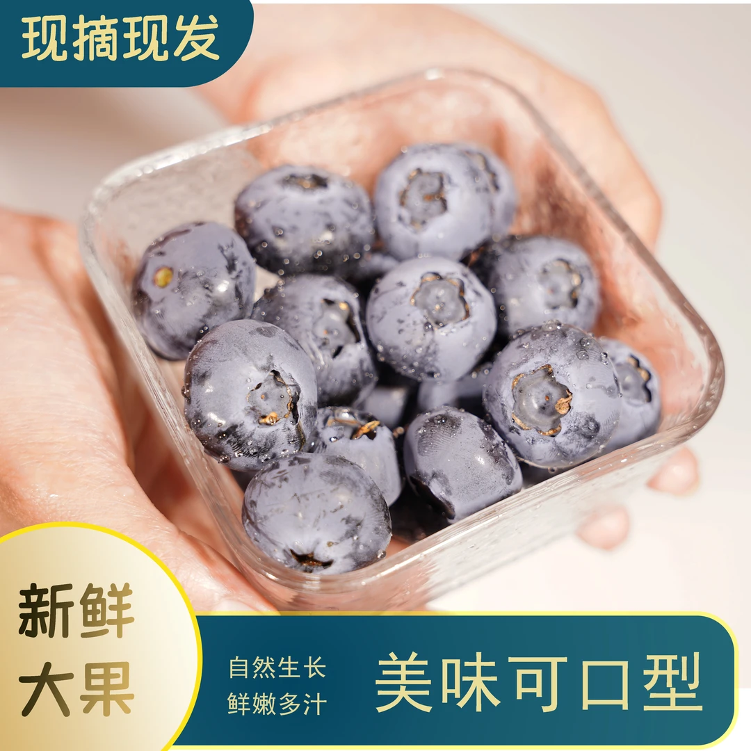 大果18+高海拔蓝莓鲜果宝宝辅食甜嫩花香新鲜基地直供