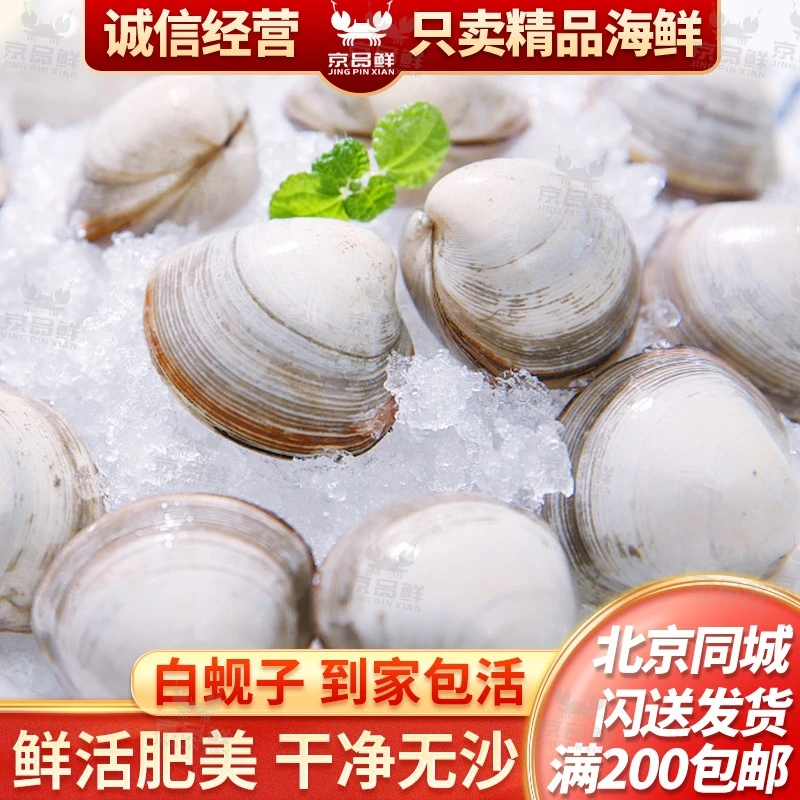 鲜活白蚬子500g 北京海鲜闪送 特别适合做汤煮粥