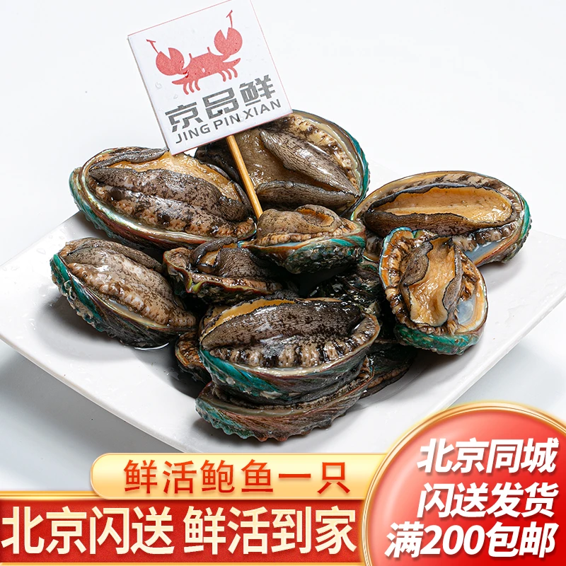 一个鲜活鲍鱼 大小可选 海鲜 鲜活鲍鱼 大连鲍鱼 水产 北京当日达