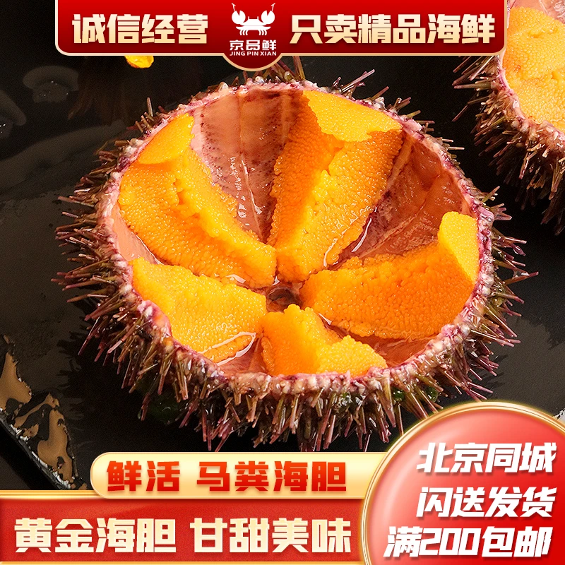 鲜活海胆现杀发货 北京闪送 应季海胆