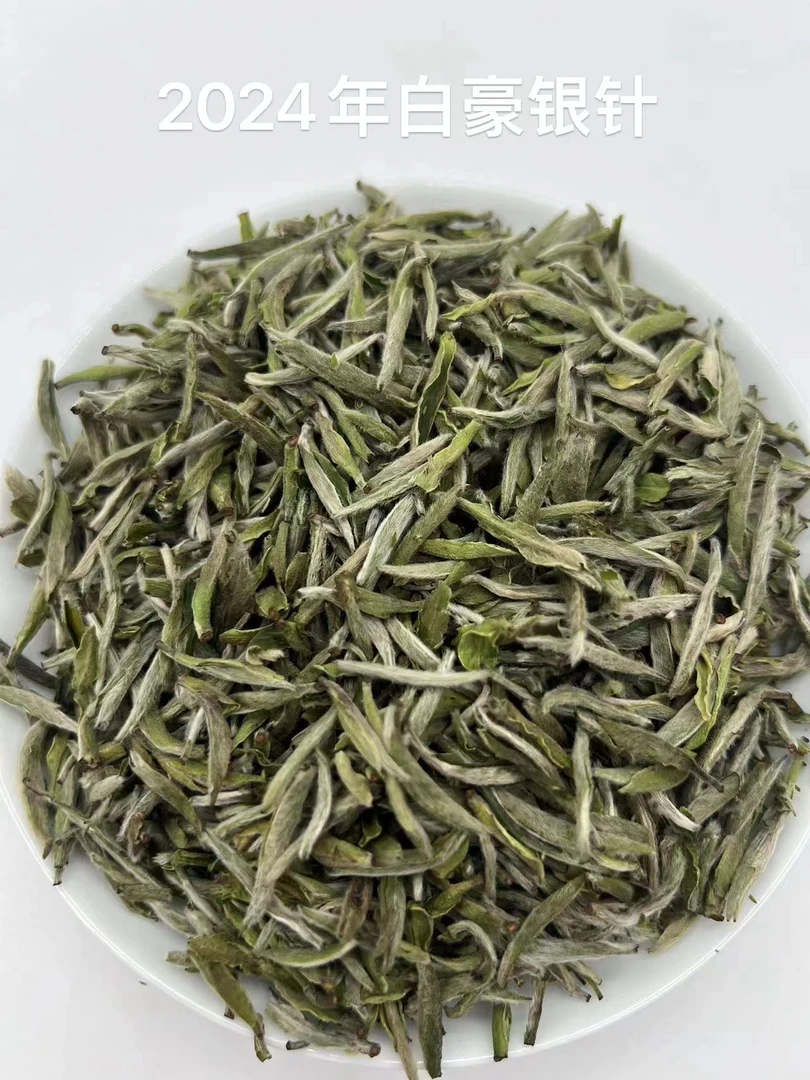 【康潮一品】2024年春芽磻溪碳焙白毫银针散茶 配同款试喝