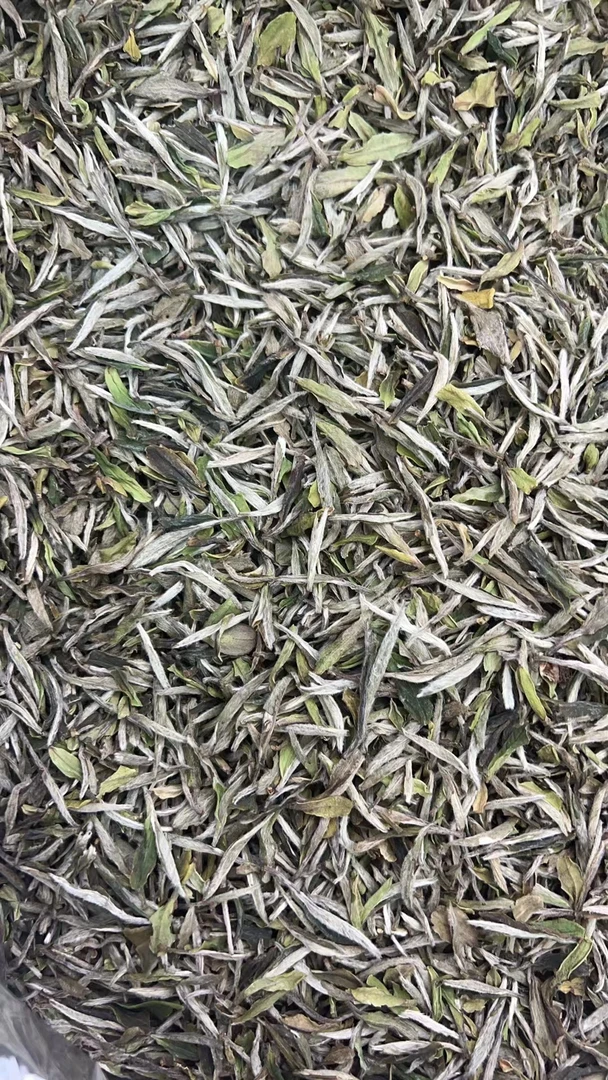 【康潮一品】大国精品 2022年管阳{茶王赛}雪后特级白牡丹