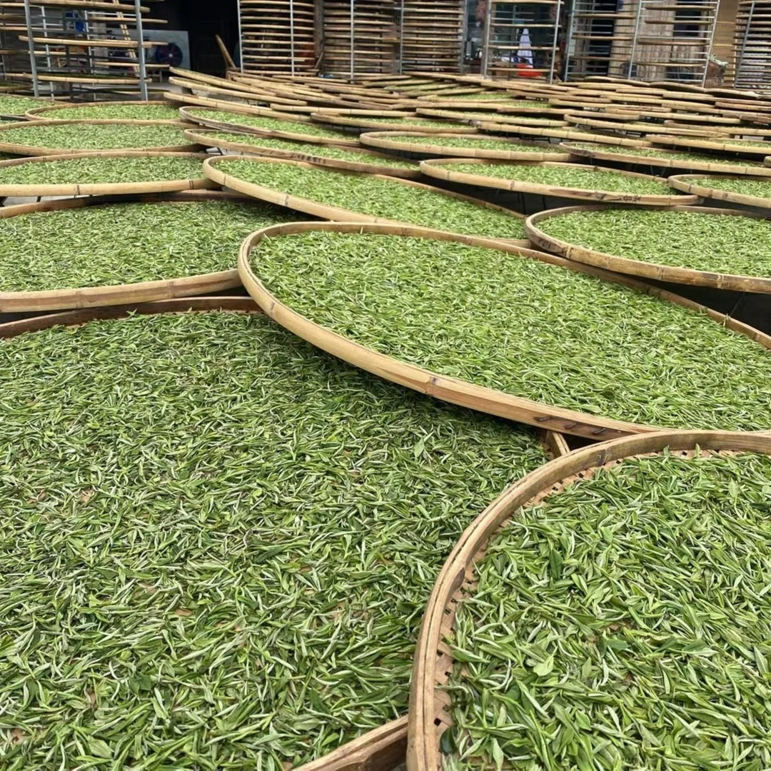 【康潮一品】飞天信任白茶浮力 4泡