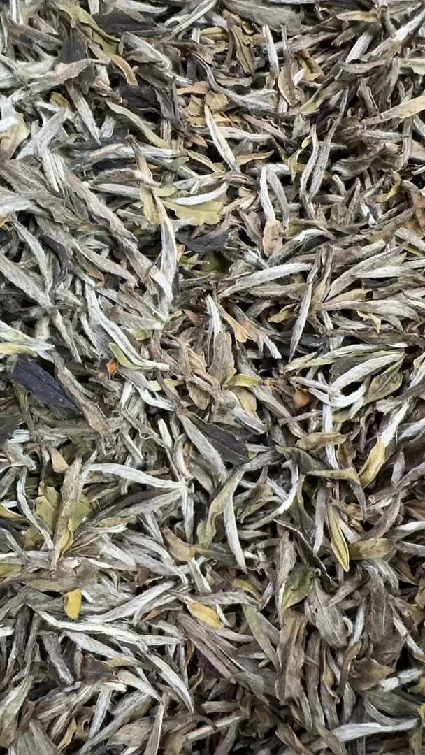 【康潮一品】 2014年二级老牡丹 散茶 白茶