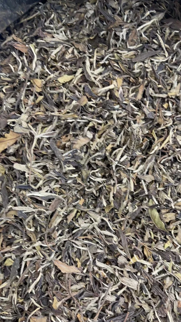 【康潮一品】2011年二级白牡丹 散茶 白茶