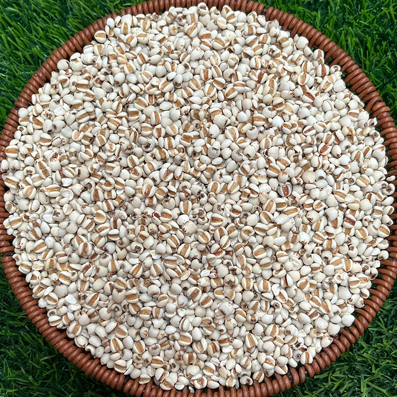 【薏仁米】高端食材薏苡仁 煮粥 煲汤 当季新货薏米 食用农产品