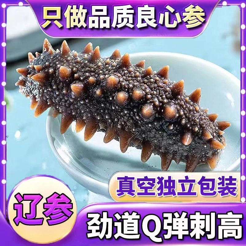 【拍40只送20只】带礼袋 鲜蒸海参 开袋即食 独立包装 单只7~8厘米