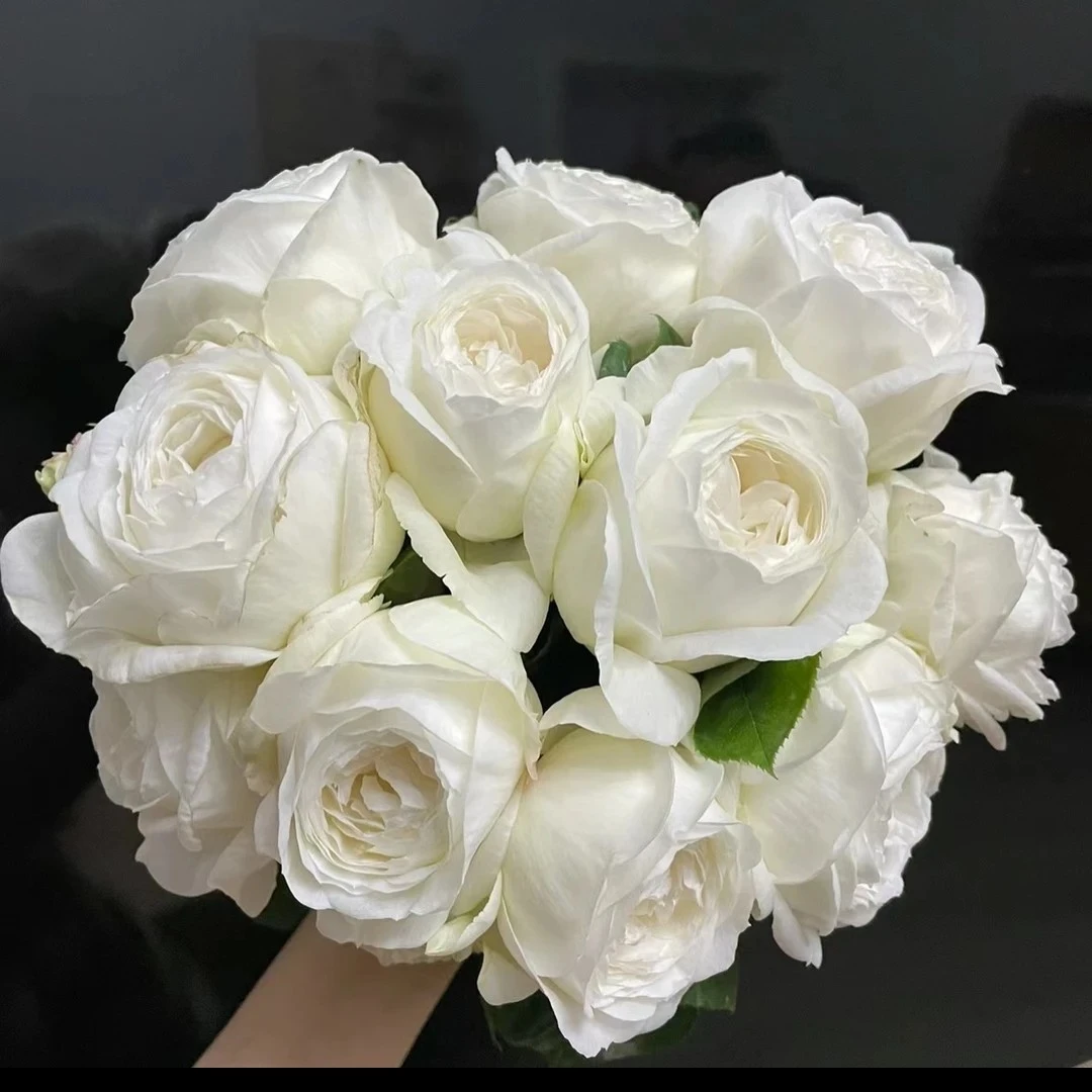 伊芙【婚礼之路】白色大包子浓香大花庭院阳台