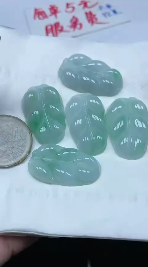 【闪购商品】翡翠颈饰未镶嵌89叶子多样性其一