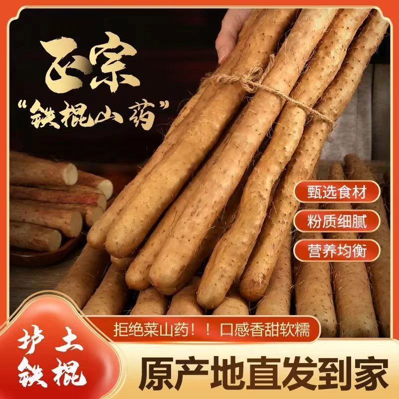 正宗垆土铁棍山药美味健康新鲜高品质新鲜采挖带土发货