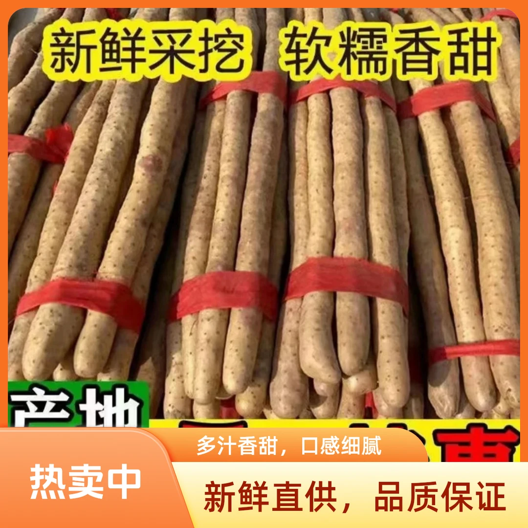 正宗蠡县铁棍麻山药50～60cm5斤新鲜高品质营养药食同源产地优质