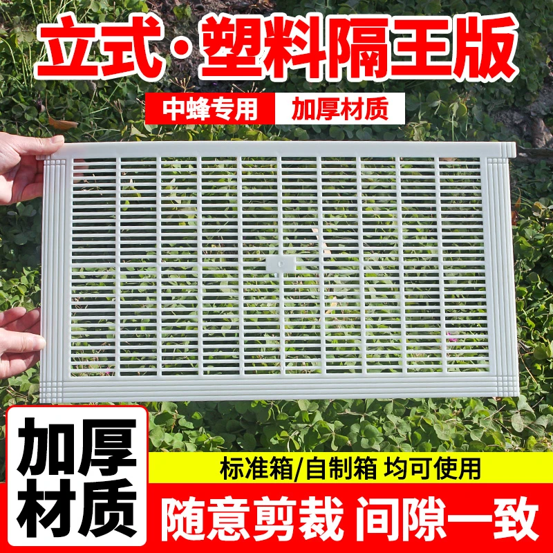 蜂大哥养蜂蜜蜂隔王片可裁剪中蜂塑料立式隔王板不过王养蜂工具