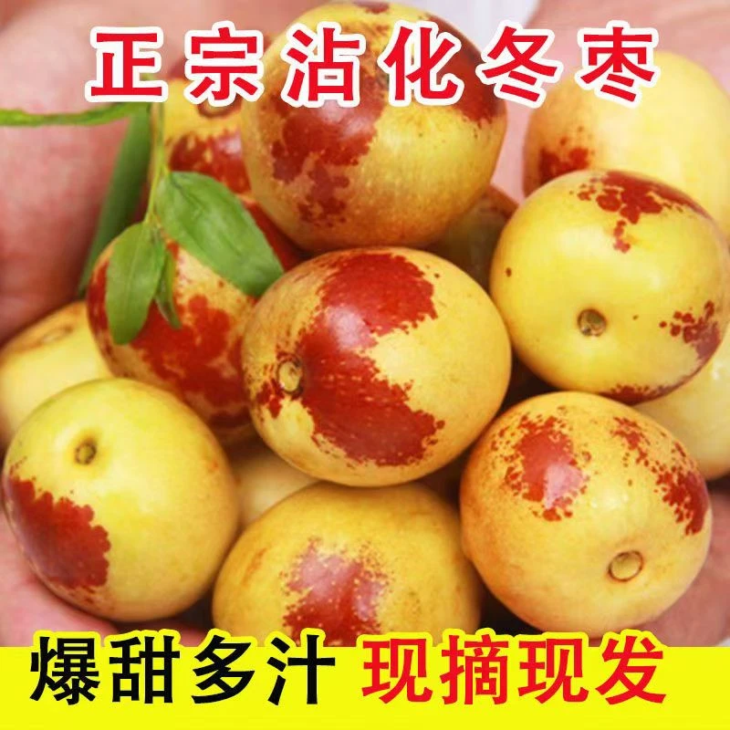 山东沾化冬枣新鲜脆甜枣子红枣大枣青枣应季孕妇水果鲜枣整箱包邮
