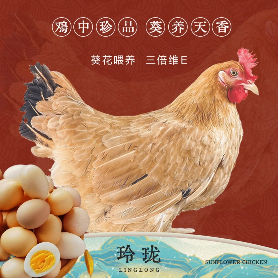 【臻品】生鲜葵花鸡一只+葵花鸡蛋一箱30枚新鲜营养现杀现捡