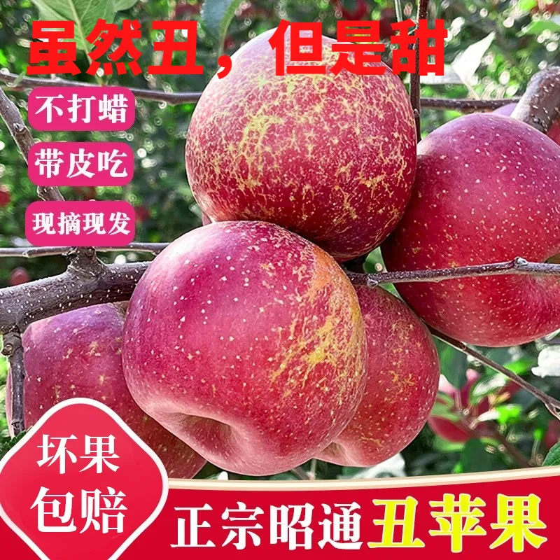 丑苹果冰糖心苹果水果新鲜.季整箱红富士3斤脆甜好吃云南昭通现摘