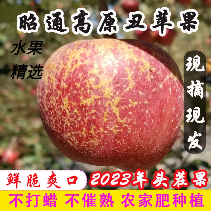 苹果水果云南昭通冰糖心丑苹果2023红富士苹果酸甜孕妇现摘3斤装.