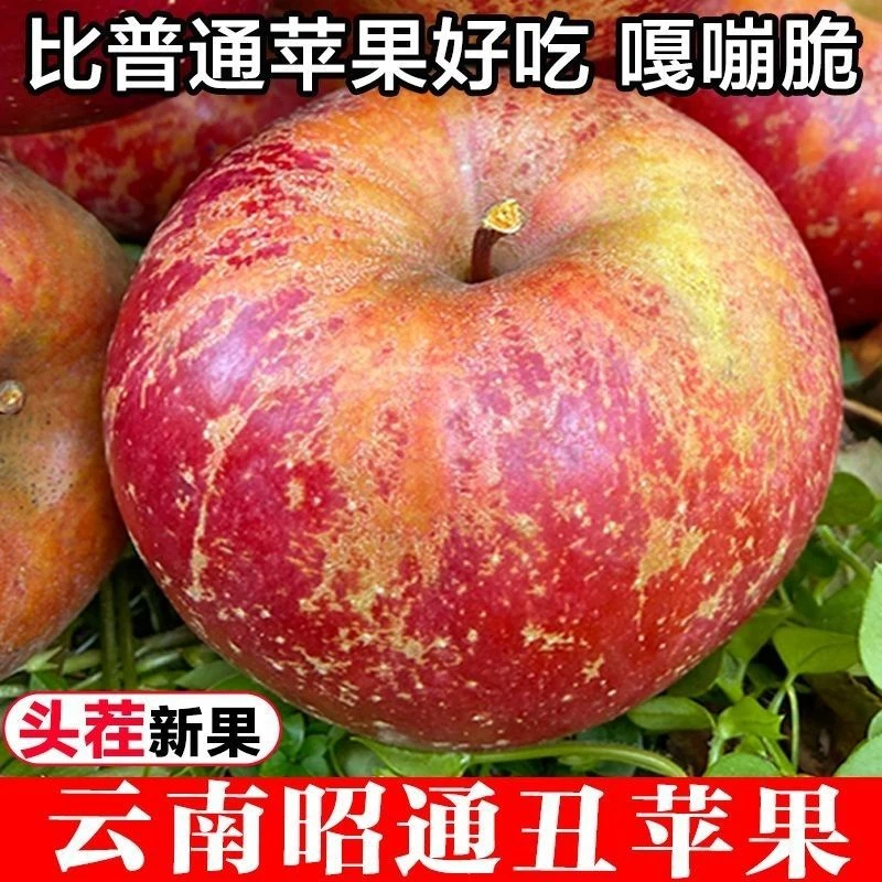 昭通丑苹果野生冰糖心条纹丑苹高山苹果新鲜水果基地直发自然发货