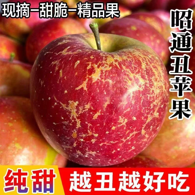 【2023云南昭通】高山丑苹果冰糖心脆甜多汁现摘现发当季红富士酸甜