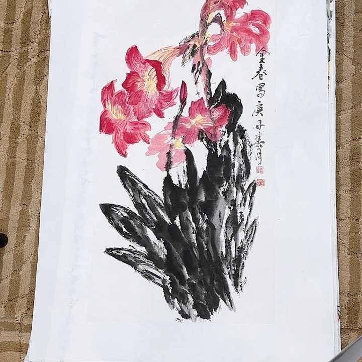 绘画花鸟的翅膀是白色和黑色最好看