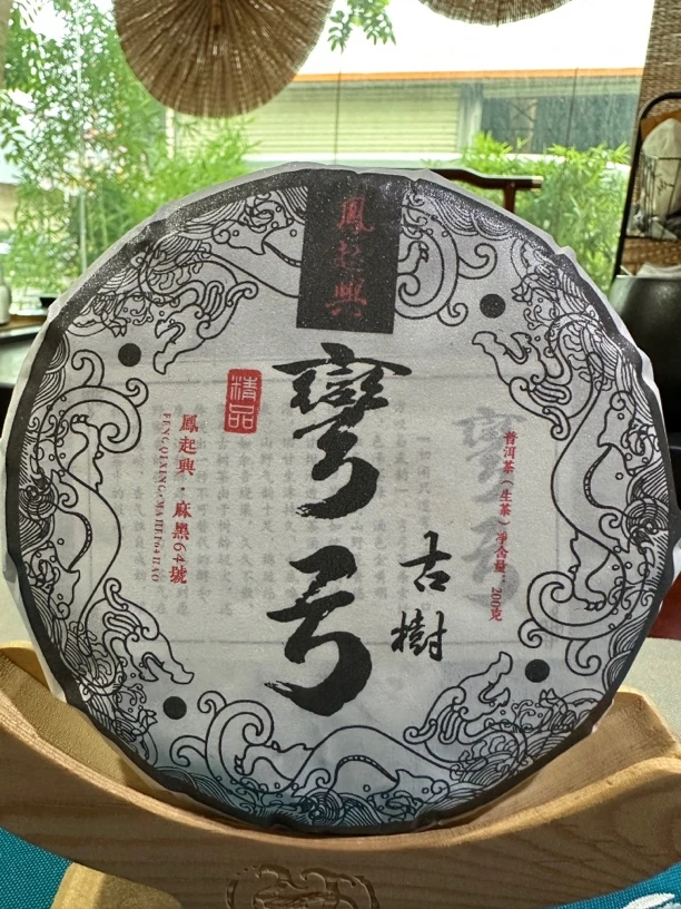 2022 易武过河弯弓古树