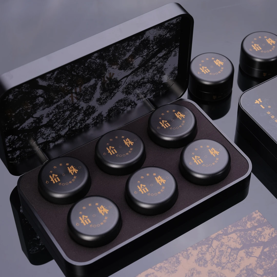 2024【冰岛600年古树拾株】冰岛老寨单株级600年古树春茶