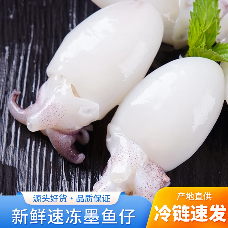 【顺丰包邮】新鲜墨鱼仔冷冻海鲜小鱿鱼乌贼生鲜商用墨斗鱼目鱼仔