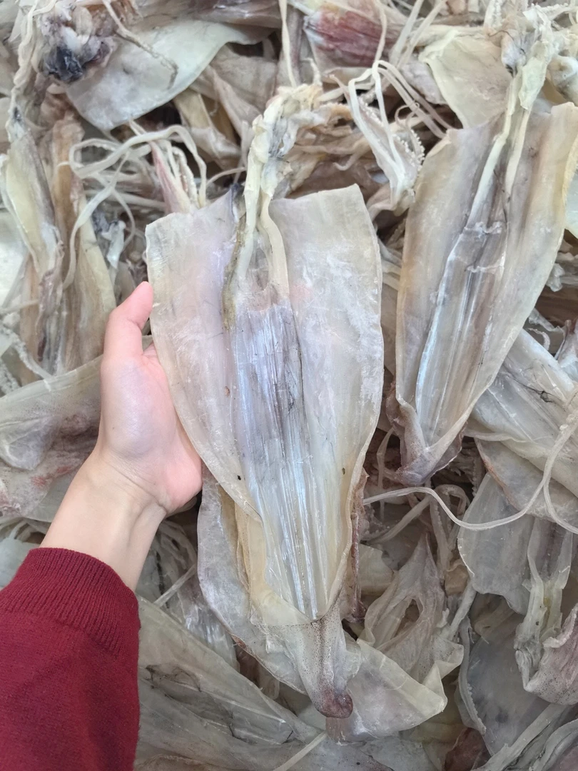 船晒尤鱼干鱿鱼干中极品