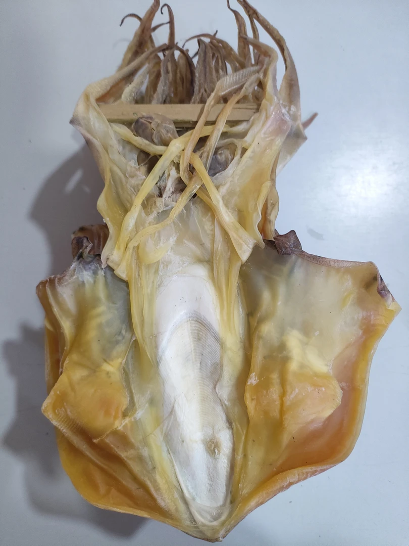 本港墨鱼干1个1斤左右