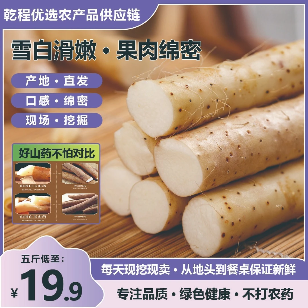 现发山西白玉山药棉山药口感粉糯入口绵密营养丰富健康养生
