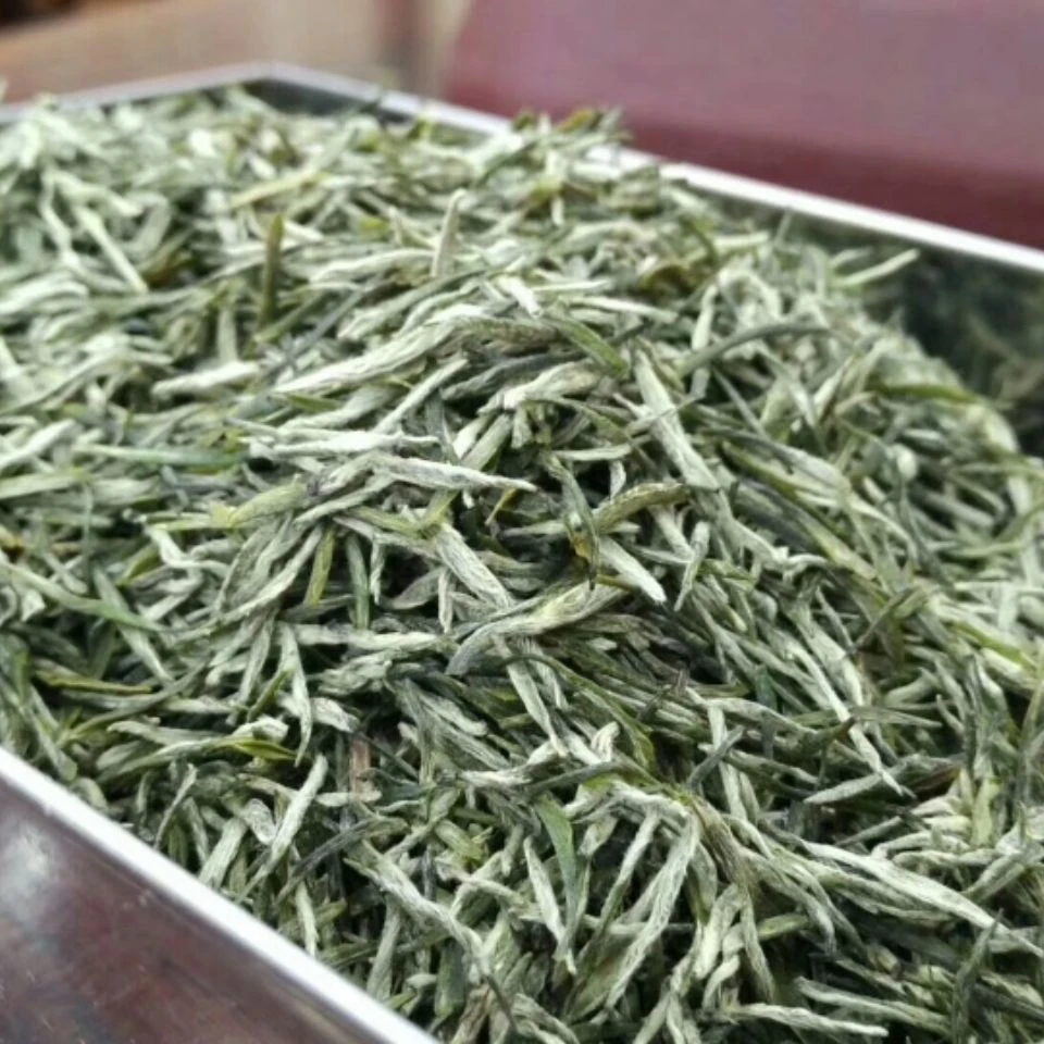 五峰芽茶采花高山芽毛尖2025年明前富硒绿茶湖北宜昌三峡恩施玉露