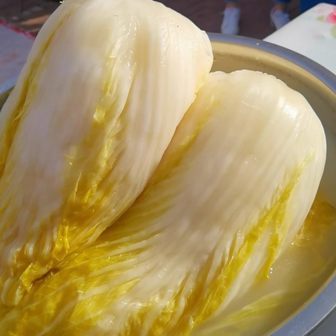 东北正宗酸菜颗整颗五斤大缸腌制辽阳酸菜小妹