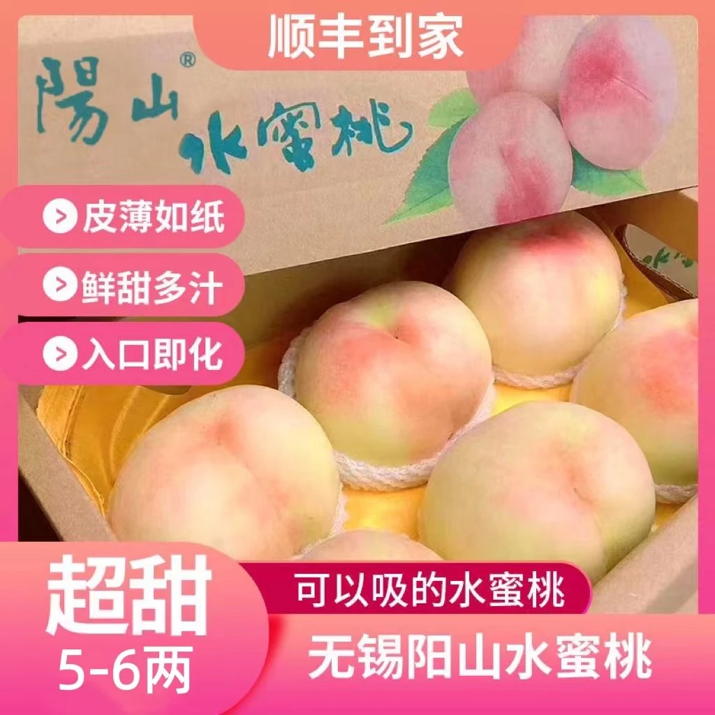【湖景蜜露】-无锡阳山水蜜桃夏日尝鲜时令高级水果5-6两8只装