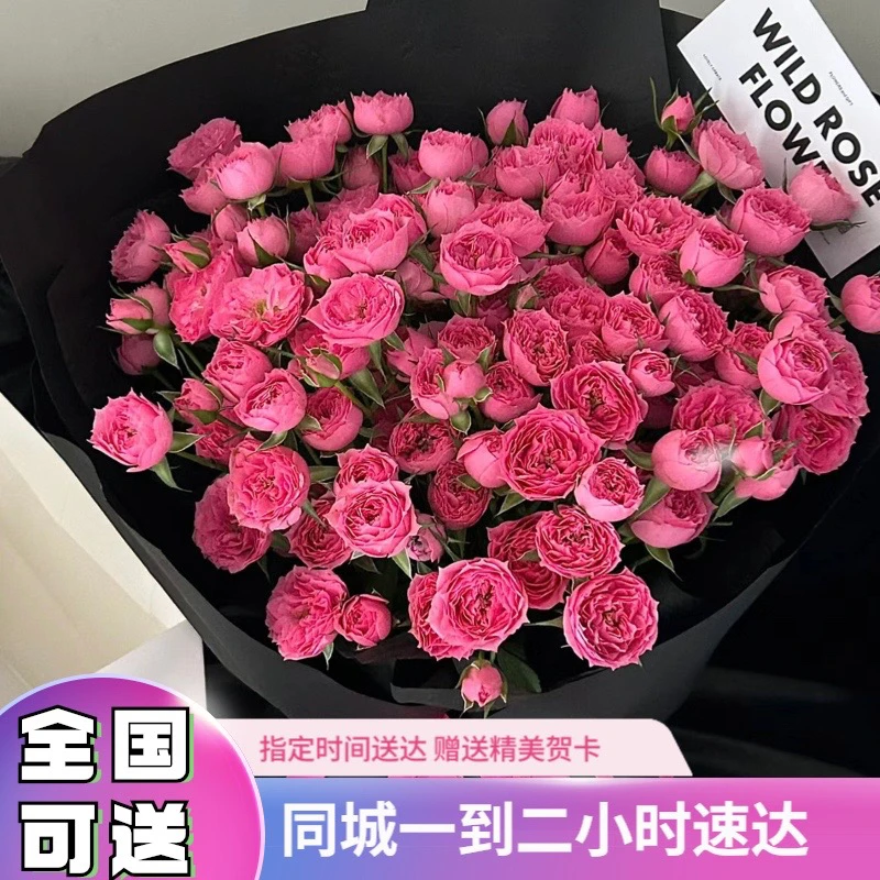 【七夕】【全国可送】苏菲宝鲜花送女友闺蜜同城速递小时达团购鲜花