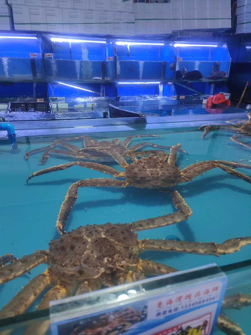 来自己俄罗斯深海帝王蟹